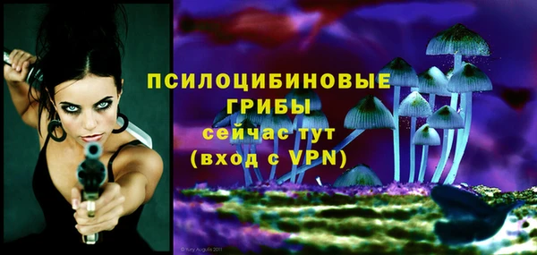 ALPHA PVP Красноперекопск