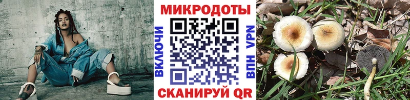 Галлюциногенные грибы Psilocybe  Купить закладки  Ступино 